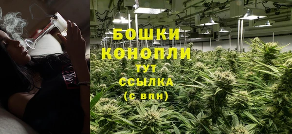 ешки Вяземский