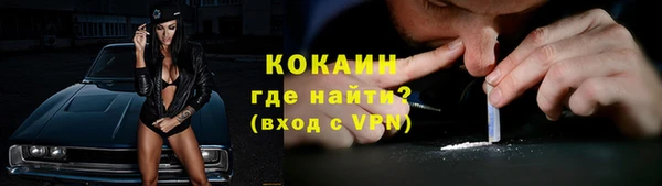 ешки Вяземский