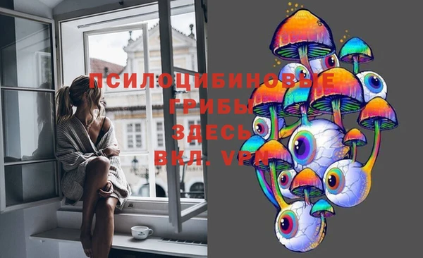 ешки Вяземский