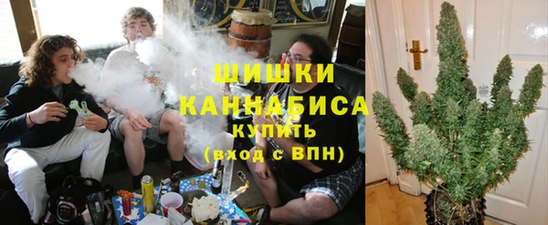 ешки Вяземский