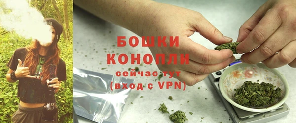 apvp Вязьма