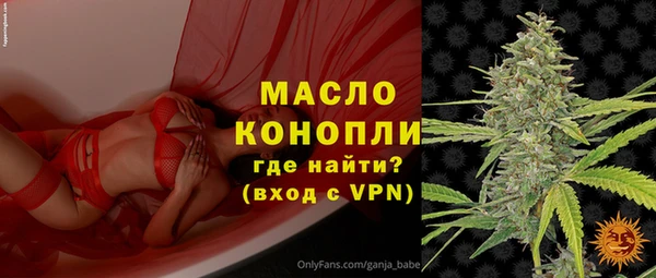ешки Вяземский
