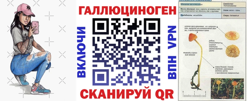 Купить закладки  Катайск  Галлюциногенные грибы мицелий 